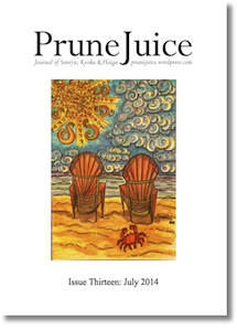 PJ Issue 13 Summer 2014 Cover