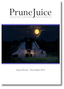 PJ Issue 11 Autumn 2013 Cover